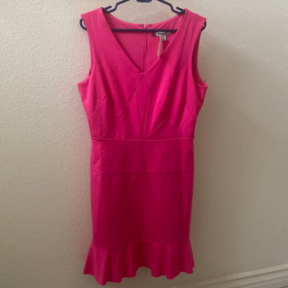 NWT Form Fitting Dress